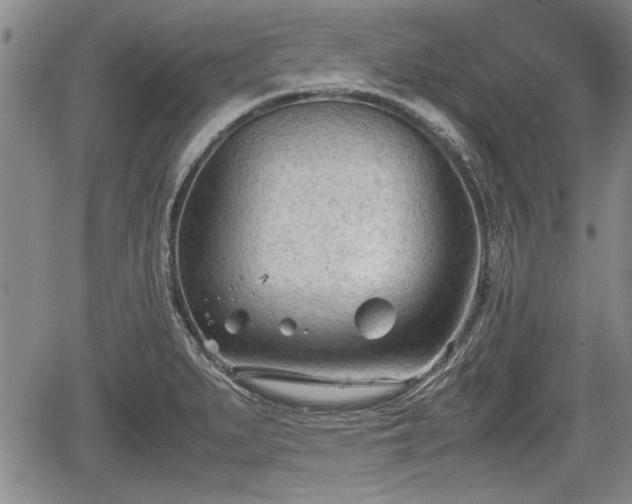 X0000067521279200604101317