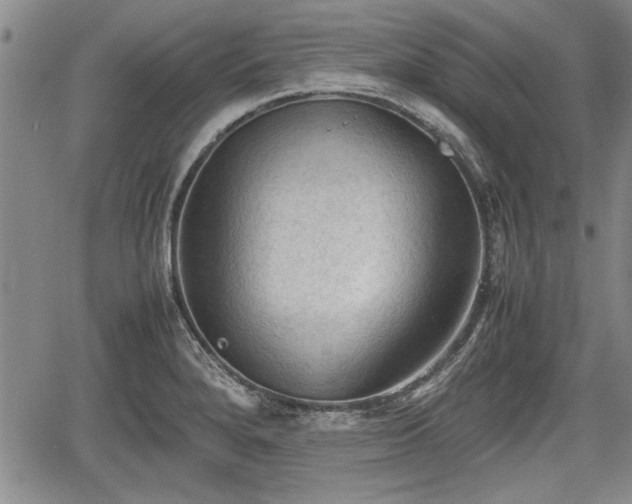 X0000067521280200604101317