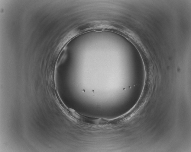 X0000067521281200604101317