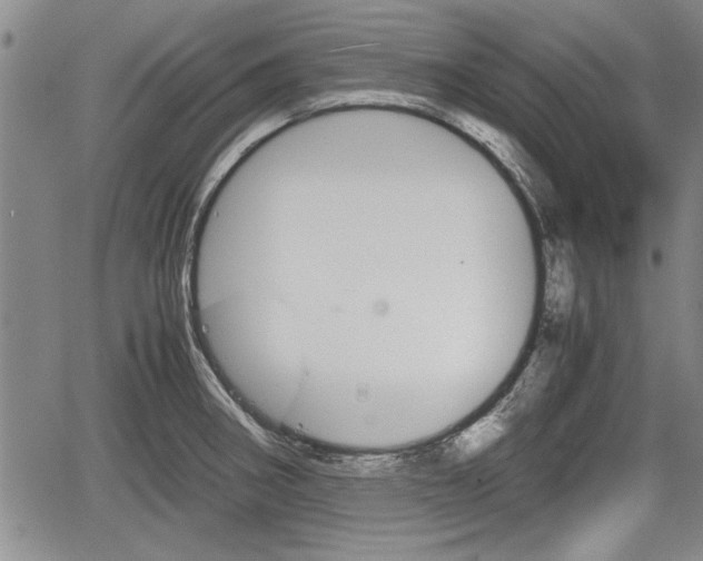 X0000067521282200604101317