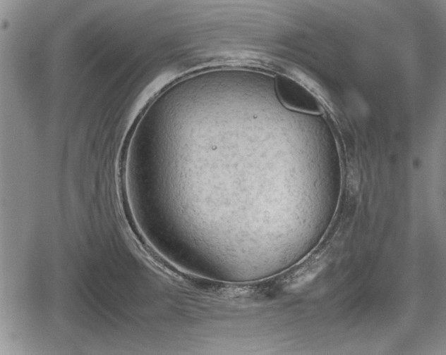 X0000067521283200604101317