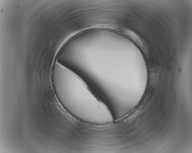 X0000067521284200604101317