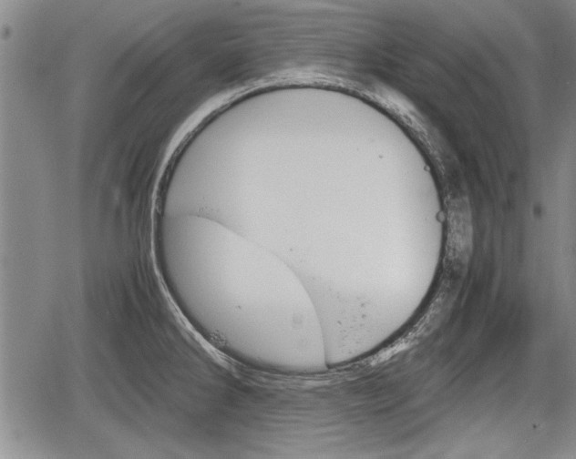 X0000067521286200604101317