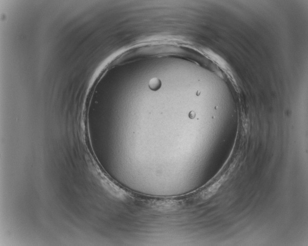 X0000067521288200604101317