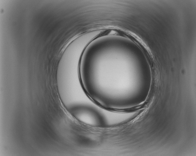 X0000067521289200604101317