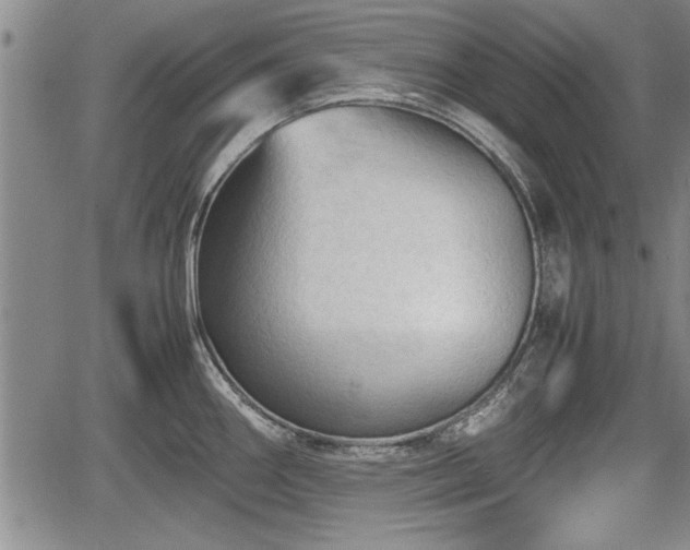 X0000067521290200604101317