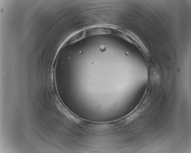 X0000067521292200604101317