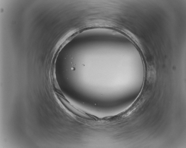 X0000067521293200604101317