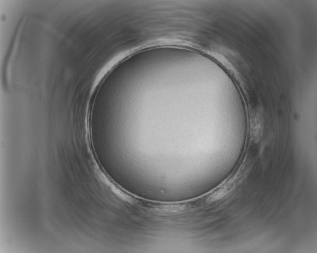 X0000067521294200604101317