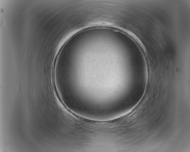 X0000067521295200604101317