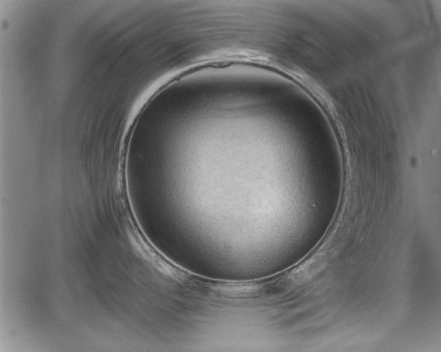 X0000067521296200604101317