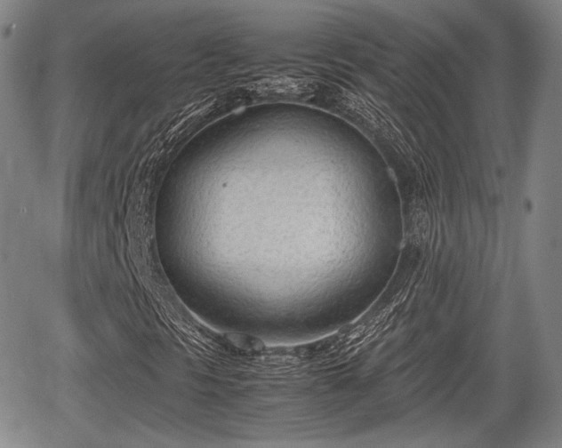 X0000067521297200604101316