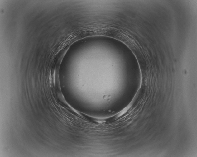 X0000067521298200604101316