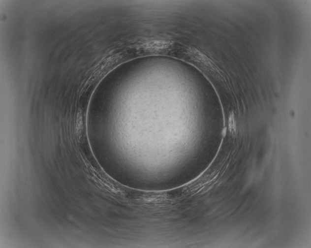 X0000067521299200604101316