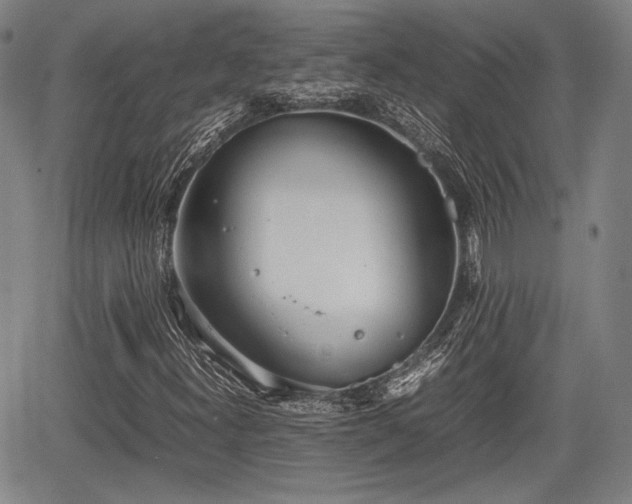 X0000067521300200604101316