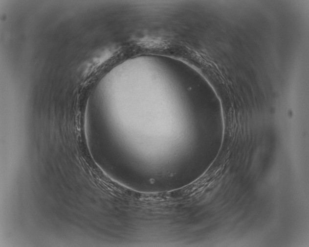 X0000067521301200604101316