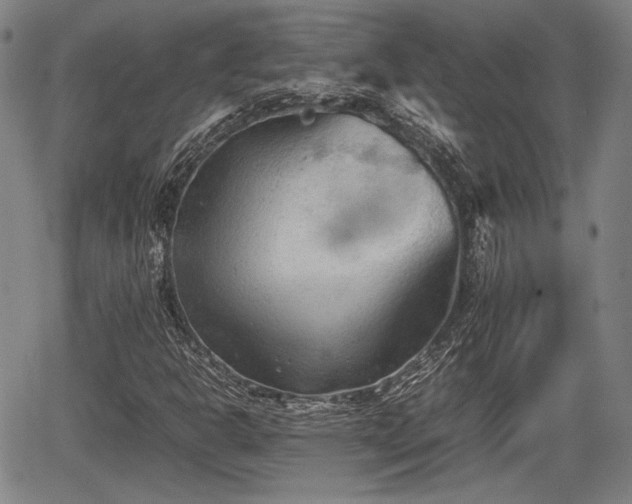 X0000067521302200604101316