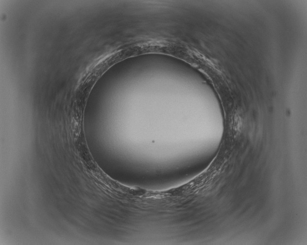 X0000067521303200604101316