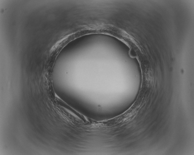 X0000067521304200604101316