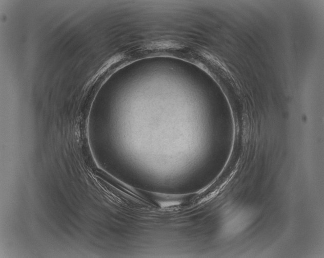 X0000067521305200604101316