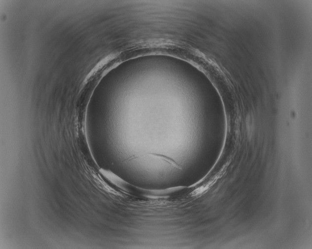 X0000067521306200604101316