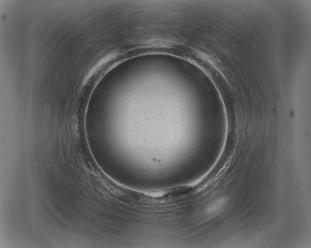 X0000067521307200604101316