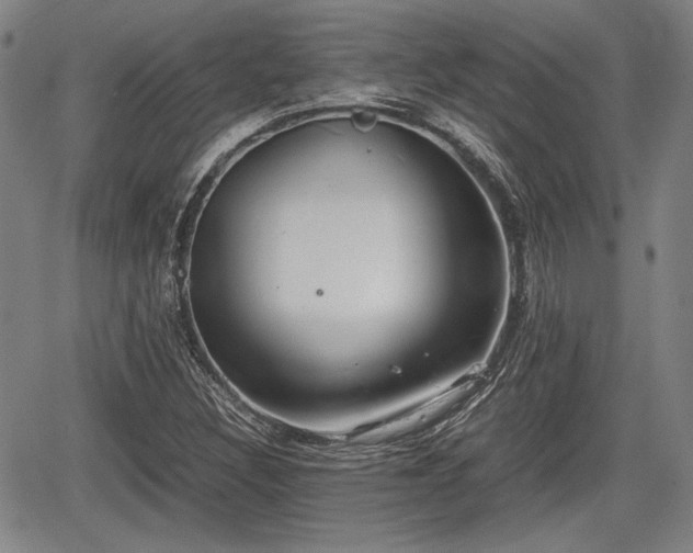 X0000067521308200604101316