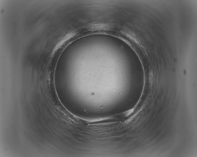 X0000067521309200604101316