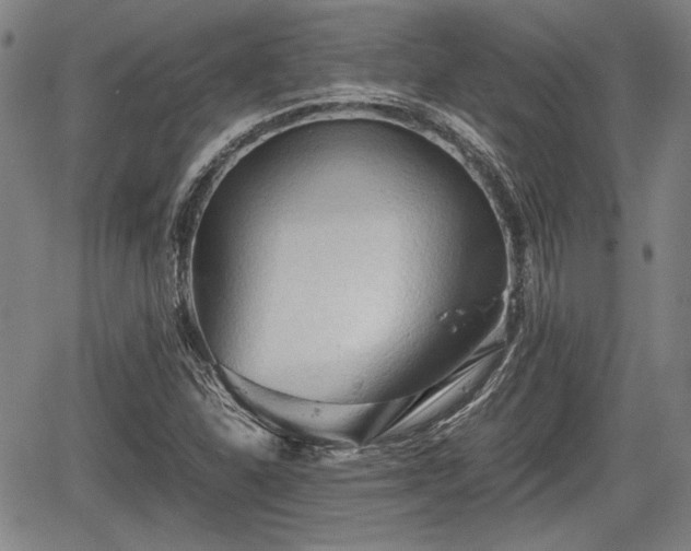 X0000067521310200604101316