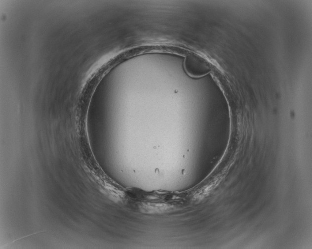 X0000067521311200604101316