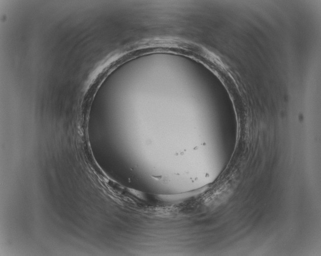 X0000067521312200604101316