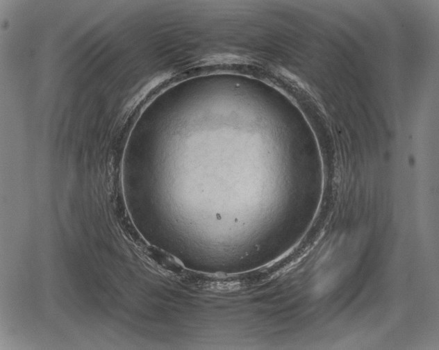 X0000067521313200604101316