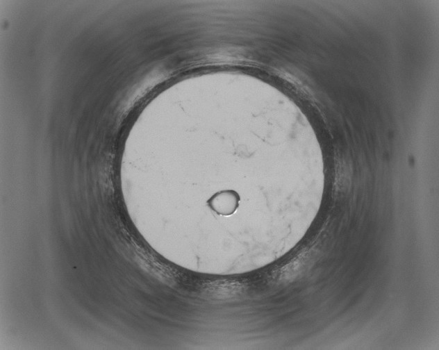 X0000067521314200604101316