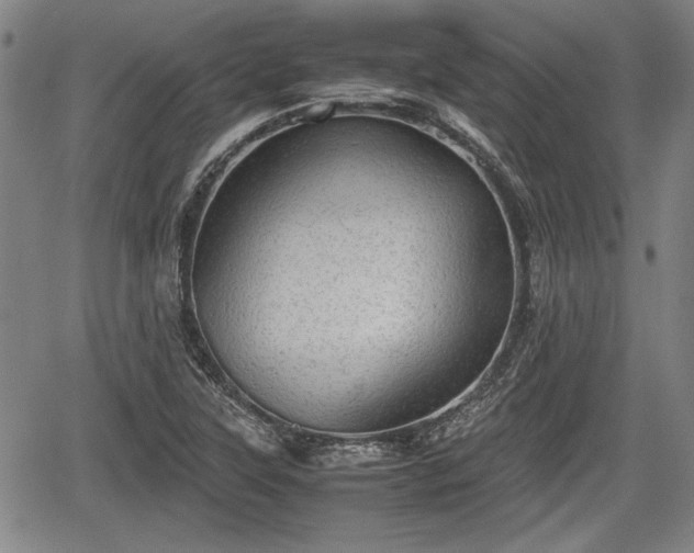 X0000067521315200604101316