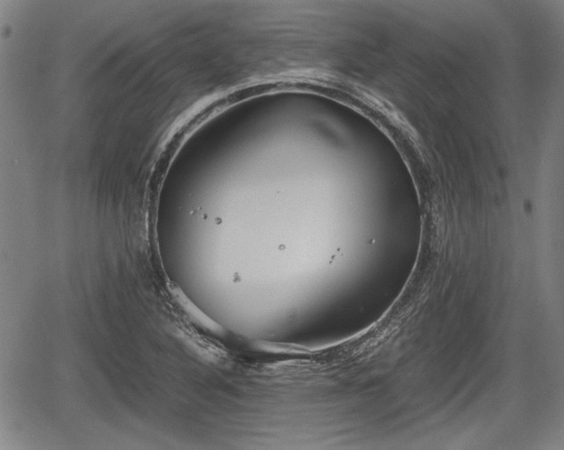 X0000067521316200604101316