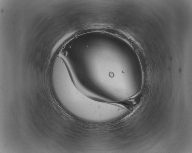 X0000067521317200604101316