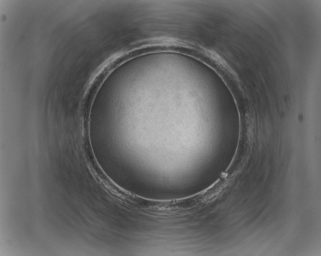 X0000067521318200604101316