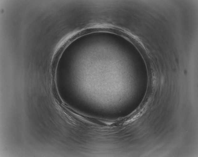 X0000067521319200604101316