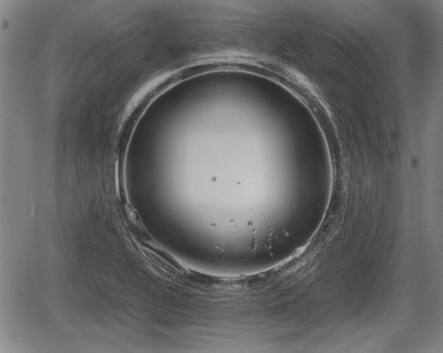 X0000067521320200604101316