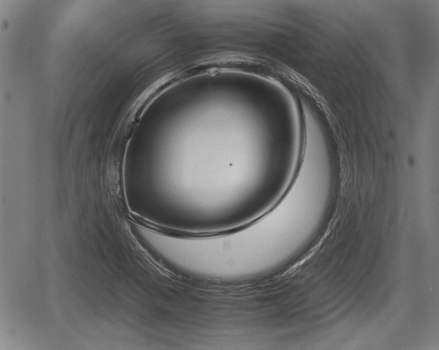 X0000067521321200604101316