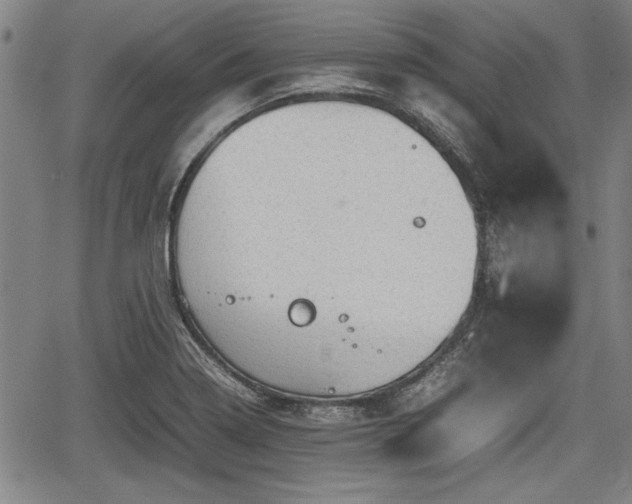 X0000067521322200604101316