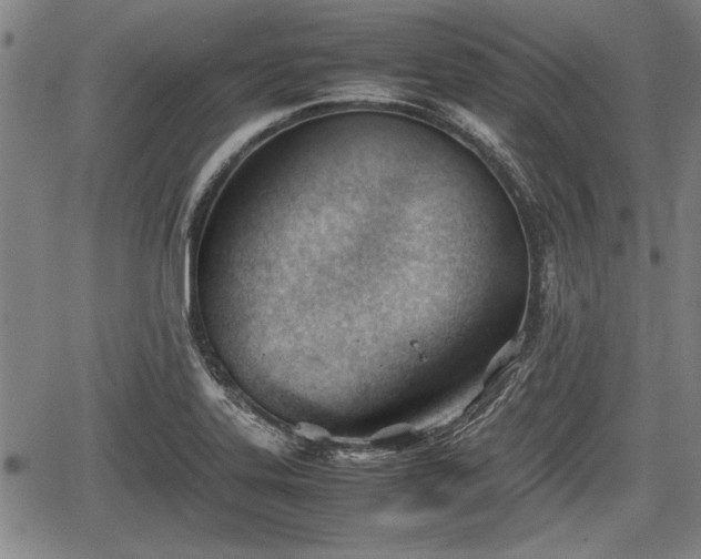 X0000067521323200604101316