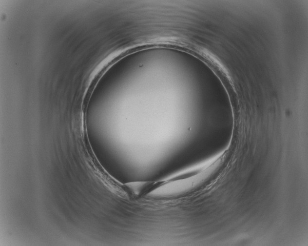 X0000067521324200604101316