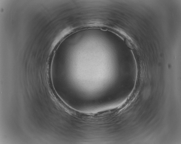 X0000067521325200604101316