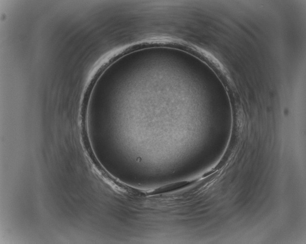 X0000067521327200604101317