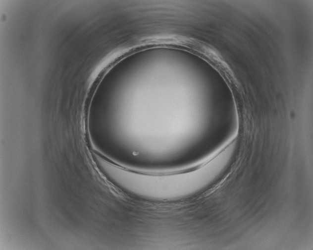 X0000067521328200604101317