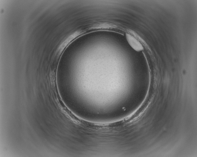 X0000067521329200604101317