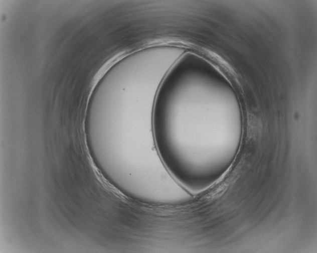 X0000067521330200604101317