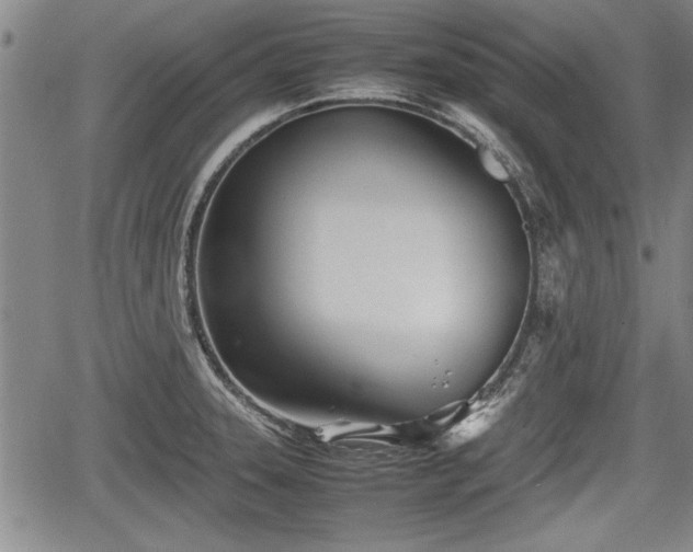 X0000067521331200604101317