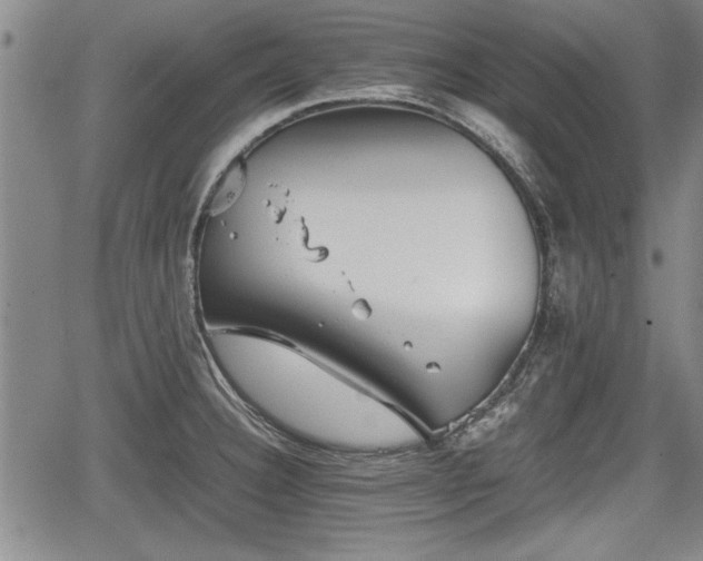 X0000067521332200604101317